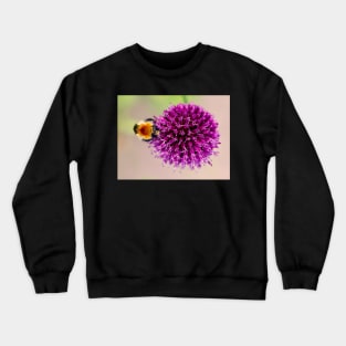 Pollen Collection Crewneck Sweatshirt